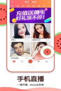 同城吃瓜直播,揭秘都市生活百态
