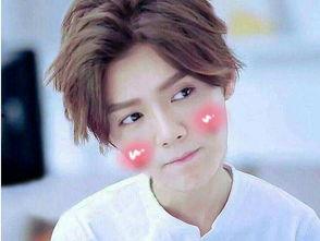 灌姓明星,闪耀娱乐圈的璀璨星辰