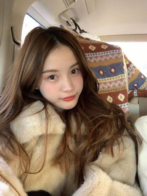 网红林,揭秘网络红人的崛起之路