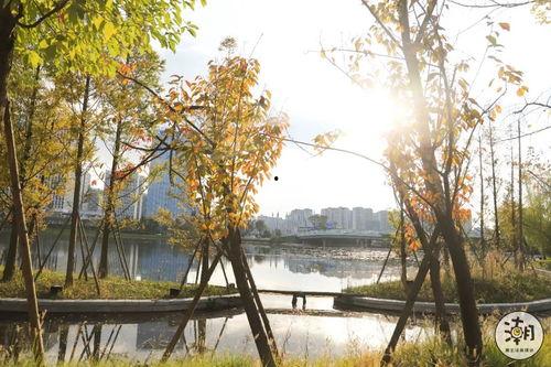 城南网红新公园在哪里