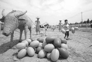 焦作武陟吃瓜事件视频