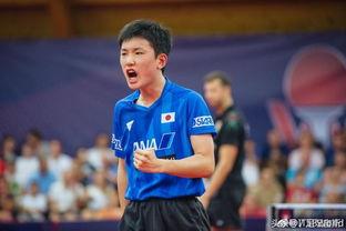 马龙吃瓜张本智和,一场乒乓球界的“瓜田李下”