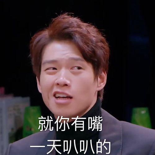 明星大侦探表情包真人