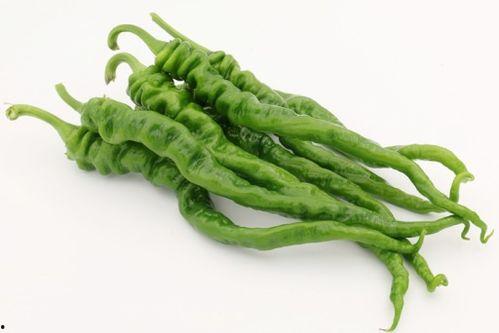 深度吃瓜绿港装饰,绿港装饰的吃瓜之旅，探寻家居装饰的绿色奥秘