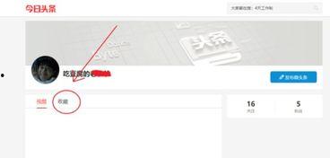 头条的收藏去哪儿了,揭秘头条收藏功能神秘失踪真相
