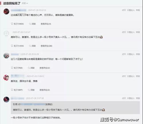 明星人设问卷,问卷解析下的形象塑造与传播策略