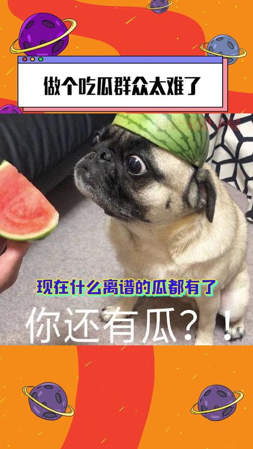 吃瓜都那么难,为何吃瓜都那么难？