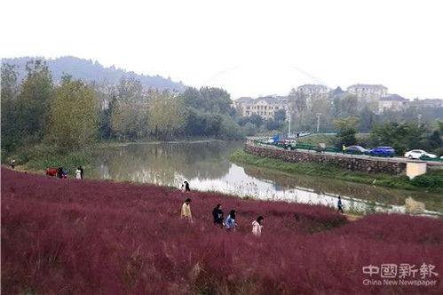 庐江网红景点 安徽,安徽山水画卷中的璀璨明珠