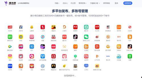 文章爆料视频素材库下载,独家视频素材库下载攻略，海量资源一网打尽！