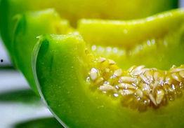 可以吃皮的瓜绿色,探索可食用瓜皮的秘密